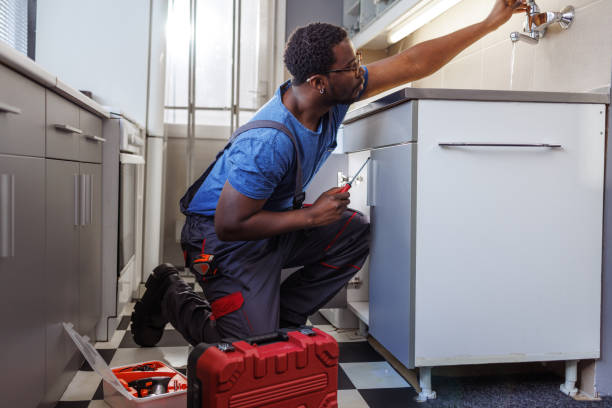 Best Affordable Plumbing Services  in Arlington, NE